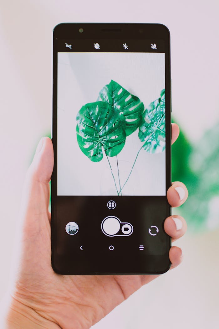 hero-gallery-04 A hand holds a smartphone displaying a monstera plant photo, blending nature and technology.
